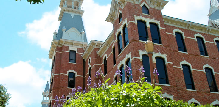 无限循环呼叫手机号软件